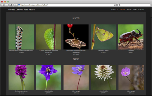 Exemple de Galerie de photographie de site Web. 